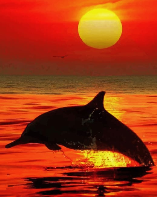 Dolphins At Sunset paint by numbers
