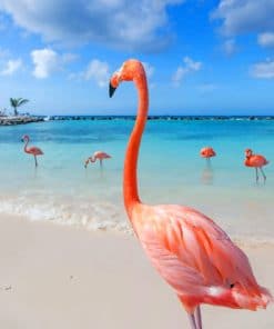 Flamingo Birds In The Beach paint by numbers