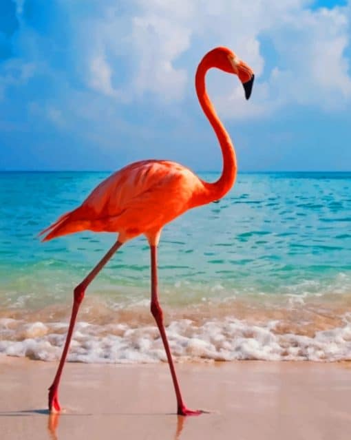 Flamingo In The Beach paint by numbers