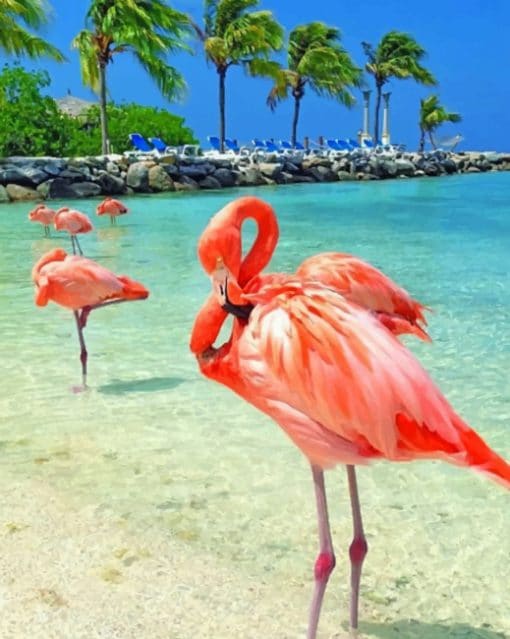 Flamingos In The Beach paint by numbers