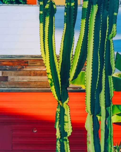 Sunny Green Cactus paint by numbers