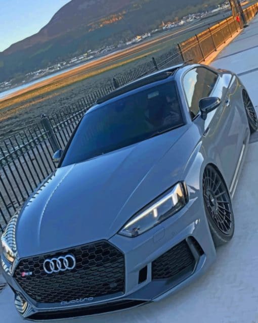 Grey Audi Rs5 paint by numbers