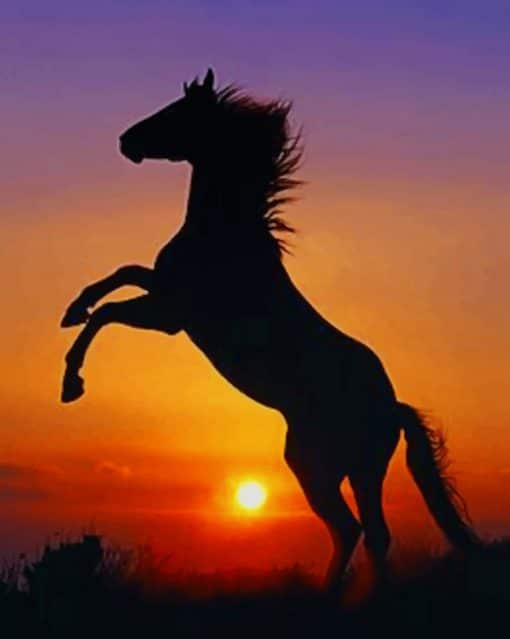 Horse At Sunset paint by numbers