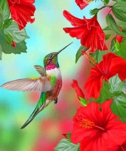 Humming Bird paint by numbers