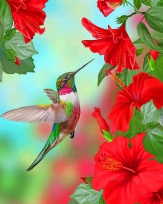 Hummingbird - Paint By Numbers - Num Paint Kit