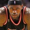 Lebron James Nba Player paint by numbers
