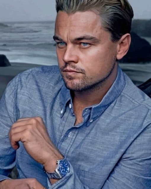 Leonardo Dicaprio paint by numbers