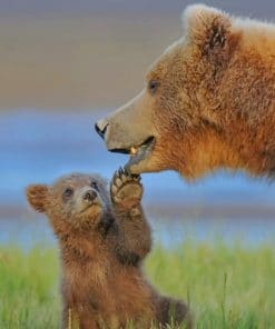Mommy And Bear Cub Bear paint by numbers