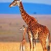 Mommy And Baby Giraffe In Savanna paint by numbers