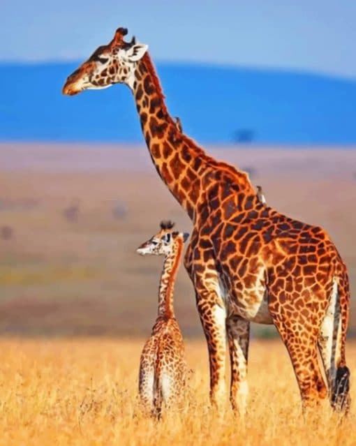 Mommy And Baby Giraffe In Savanna paint by numbers