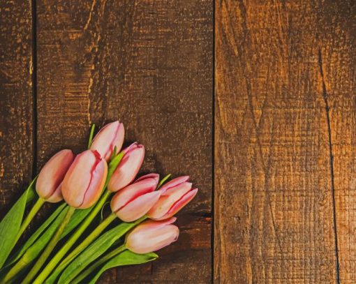 Pink Tulips On Wood Texture paint by numbers