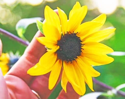 Sunflower In Hand paint by numbers