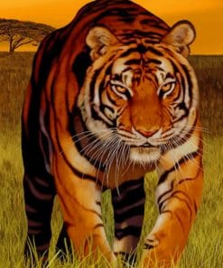 Tiger At The Sunset paint by numbers