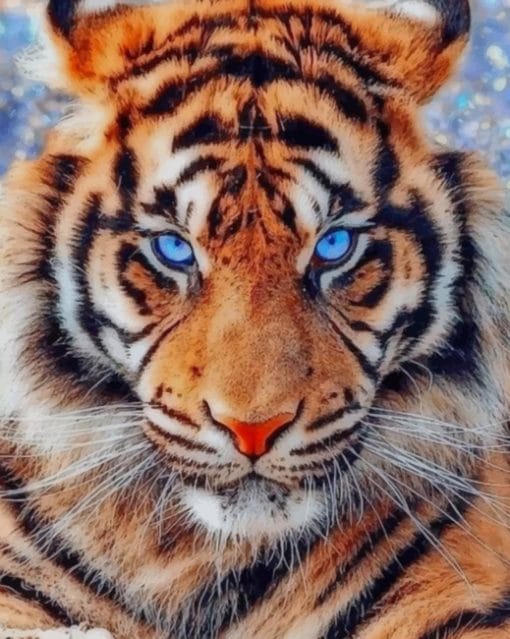 Tiger With Blue Eyes paint by numbers
