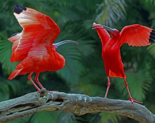 Two Scarlet Ibis Vying Space Tree Trunk paint by numbers