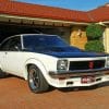 Holden Torana Ss paint by numbers