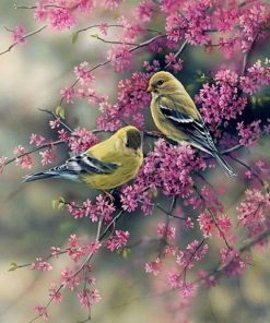 American Goldfinch Paint by numbers