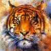 Abstract Tiger Paint By Numbers
