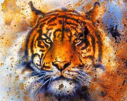 Abstract Tiger Paint By Numbers