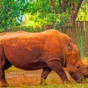 African Rhinoceros paint by numbers