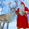 Arctic Reindeer And Noel Paint By Numbers