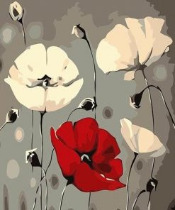 Red White Poppy Flower Paint By Numbers