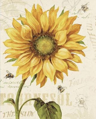 Sunflower - Paint By Number - Num Paint Kit