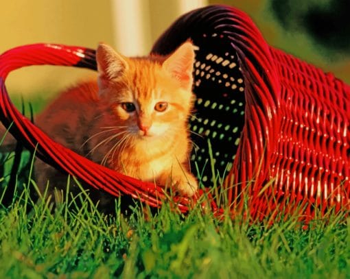 Cat In Basket paint by numbers