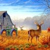 Country Scenes Paint By Numbers