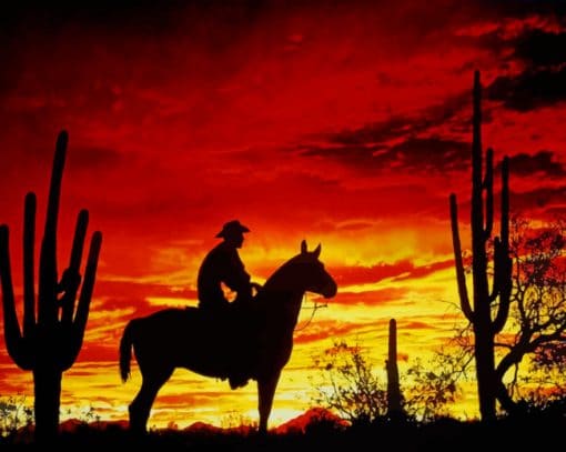 Cowboy Shodow In Sunset paint by numbers