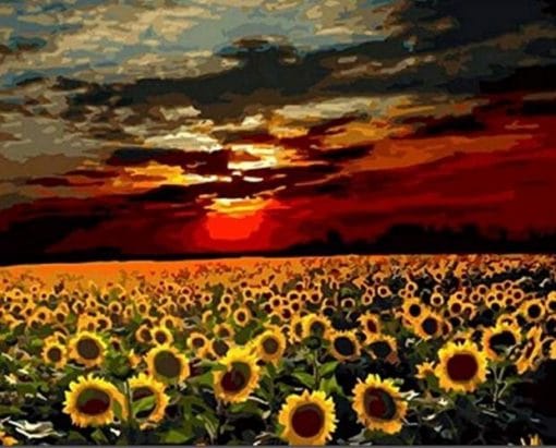 Sunflower Field Paint By Numbers