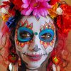 The Day Of The Dead Paint By Numbers