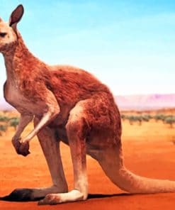 Desert Kangaroo Paint By Numbers