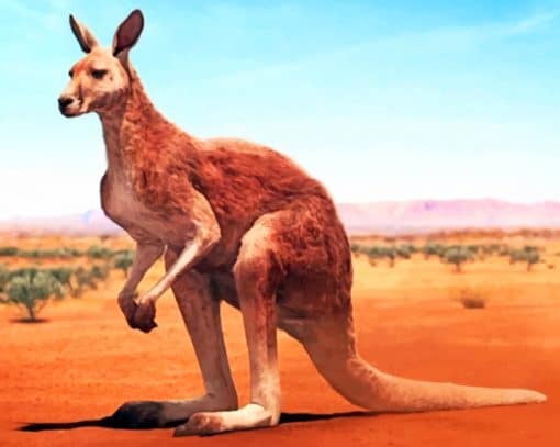 Desert Kangaroo Paint By Numbers