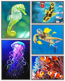 Fish