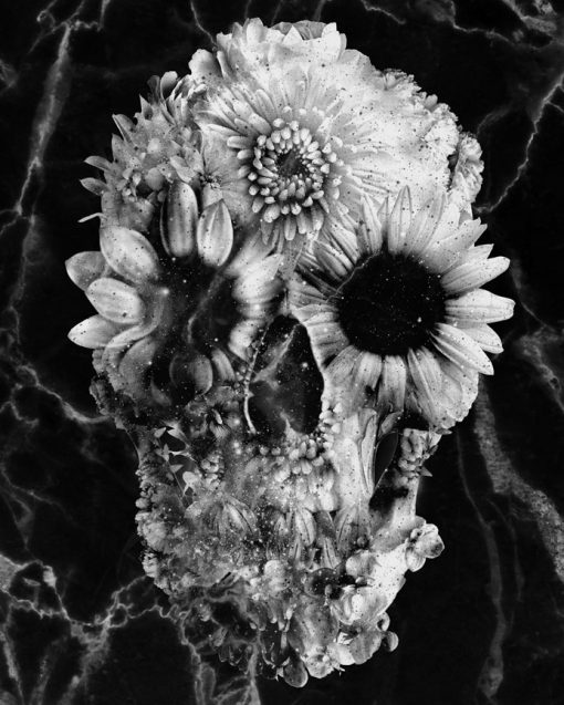 Floral Skull Marble Paint by numbers