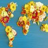 Flower World Map Paint BY Numbers