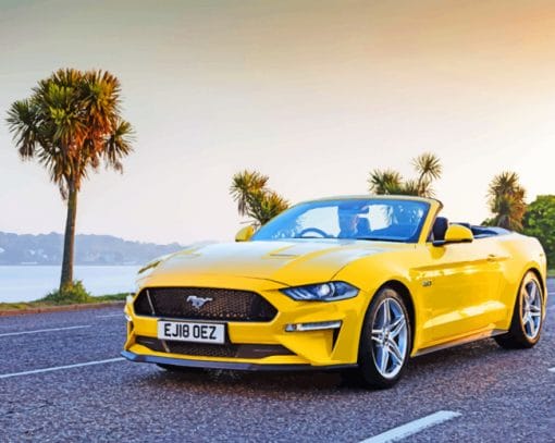 Ford Mustang GT Convertible Paint By Numbers
