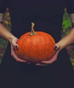 Girl Holding A Pumpkin paint by numbers