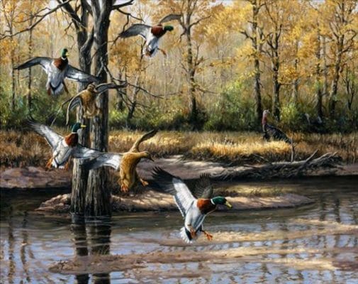 Wild Ducks Paint by numbers