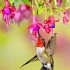Beautiful Flowers With Hummingbird paint by numbers