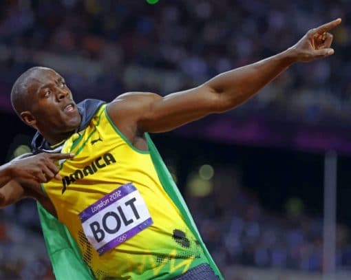 Jamaican Sprinter Usain Bolt paint by numbers