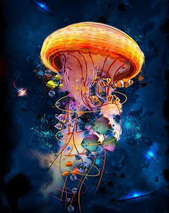 Jellyfish Galaxy paint by numbers