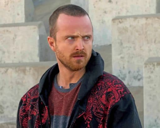 Jesse Pinkman From Breaking Bad paint by numbers