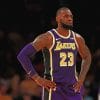 LeBron James LA Lakers paint by numbers