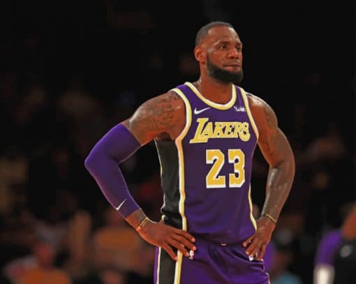 LeBron James LA Lakers paint by numbers