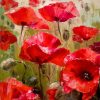 RUOPOTY-Red-Flower-Abstract-DIY-Painting-By-Numbers-Kits-Modern-Wall-Art-Picture-Handpainted-Oil-Painting