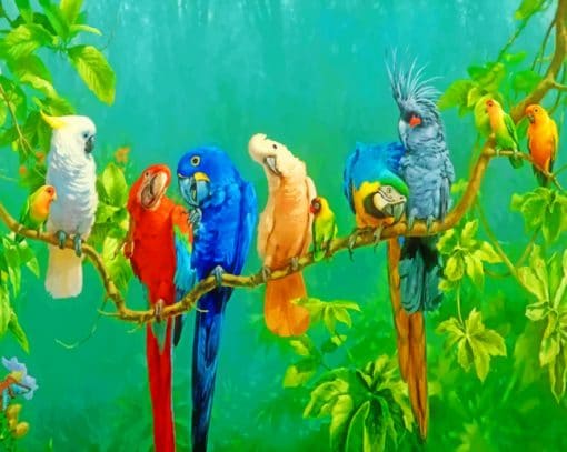 Rainbow Parrots Paint By Numbers