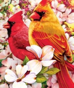 Cardinals Birds Paint by numbers