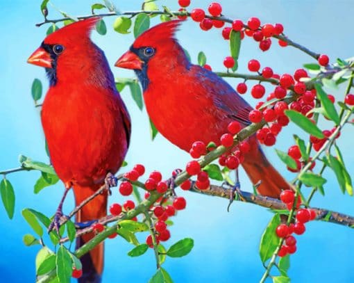 Red Cardinal Paint By Numbers